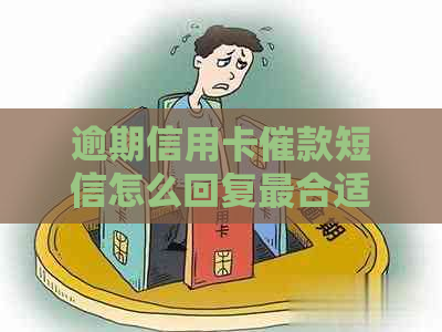 逾期信用卡催款短信怎么回复最合适