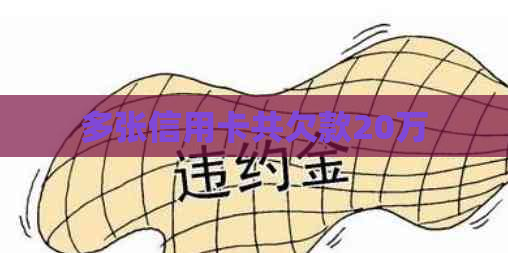 多张信用卡共欠款20万