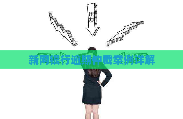 新网银行逾期仲裁案例详解