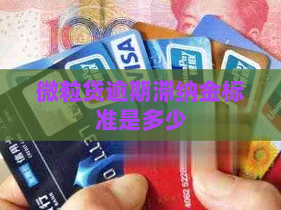 微粒贷逾期滞纳金标准是多少