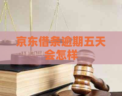 京东借条逾期五天会怎样