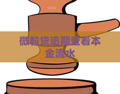 微粒贷逾期查看本金流水