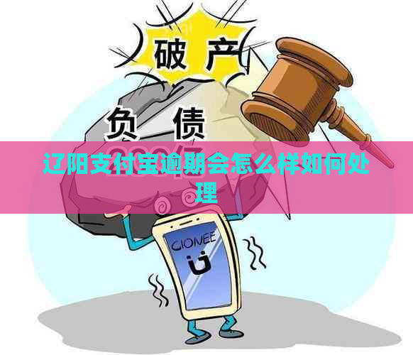 辽阳支付宝逾期会怎么样如何处理