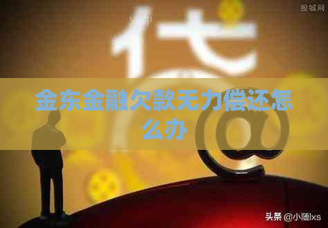 金东金融欠款无力偿还怎么办