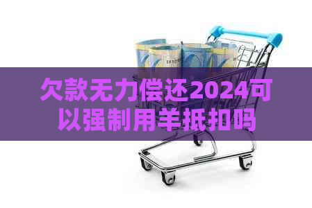 欠款无力偿还2024可以强制用羊抵扣吗