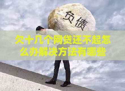 欠十几个网贷还不起怎么办解决方法有哪些