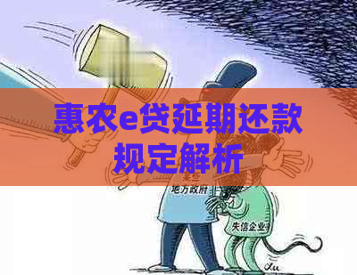 惠农e贷延期还款规定解析