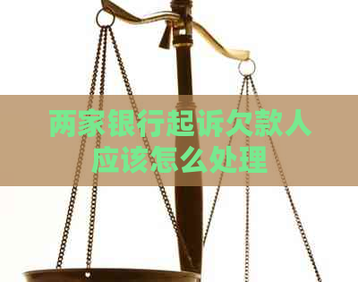 两家银行起诉欠款人应该怎么处理