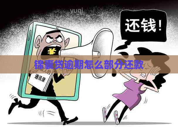 锦囊贷逾期怎么部分还款