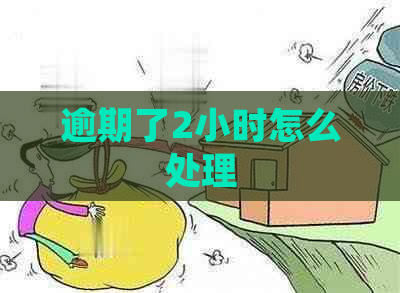 逾期了2小时怎么处理