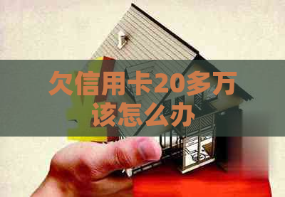 欠信用卡20多万该怎么办