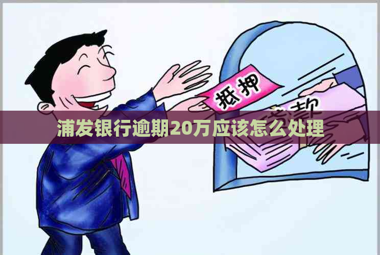 浦发银行逾期20万应该怎么处理