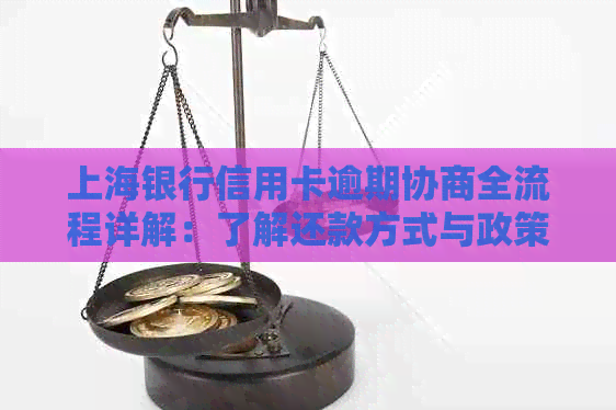 上海银行信用卡逾期协商全流程详解：了解还款方式与政策