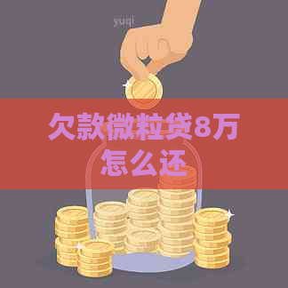 欠款微粒贷8万怎么还
