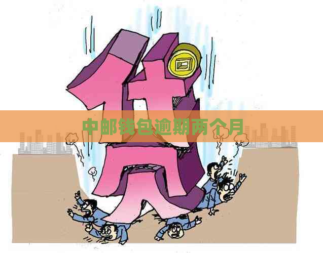 中邮钱包逾期两个月