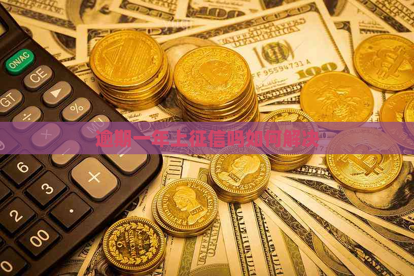 逾期一年上吗如何解决