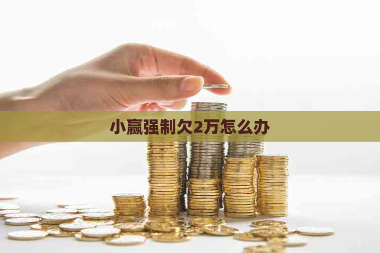 小赢强制欠2万怎么办