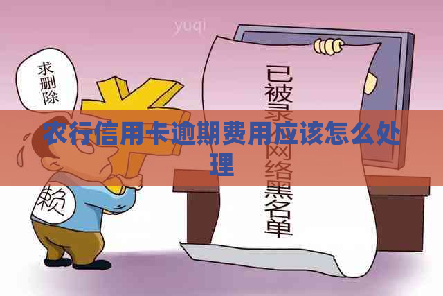 农行信用卡逾期费用应该怎么处理