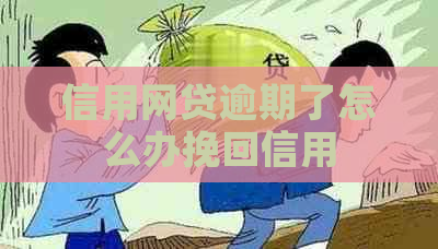 信用网贷逾期了怎么办挽回信用