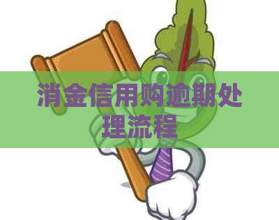 消金信用购逾期处理流程