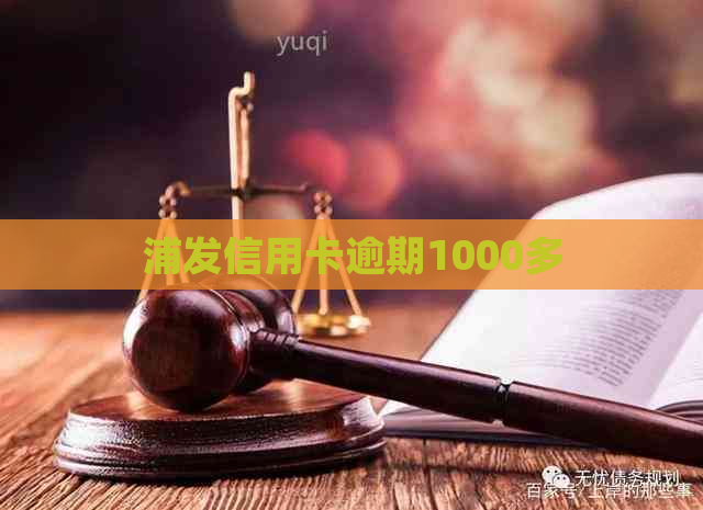 浦发信用卡逾期1000多