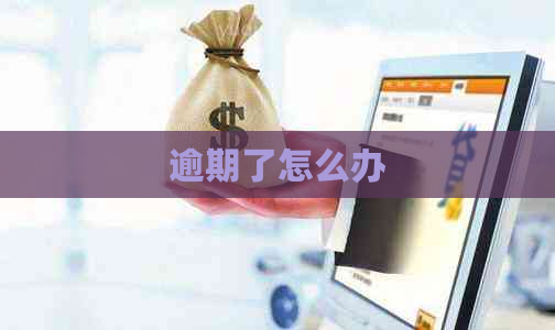 逾期了怎么办