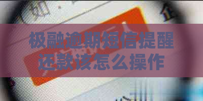 极融逾期短信提醒还款该怎么操作