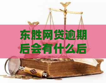东胜网贷逾期后会有什么后果
