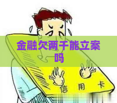 金融欠两千能立案吗