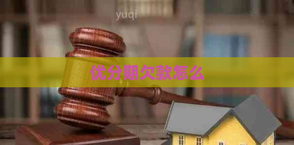 优分期欠款怎么