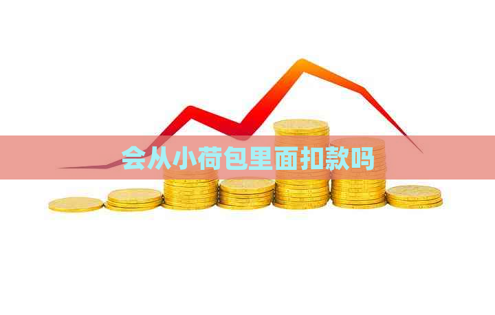 会从小荷包里面扣款吗