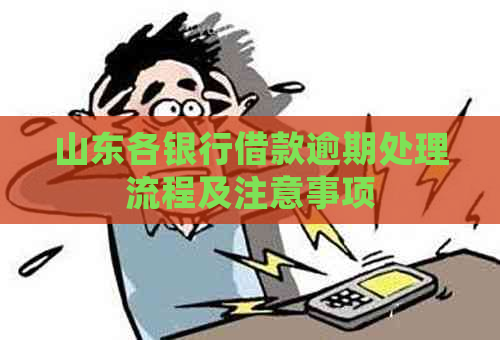 山东各银行借款逾期处理流程及注意事项