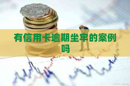 有信用卡逾期坐牢的案例吗