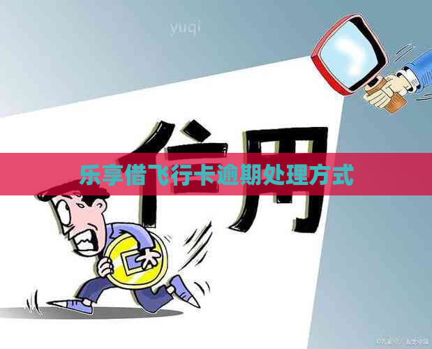 乐享借飞行卡逾期处理方式
