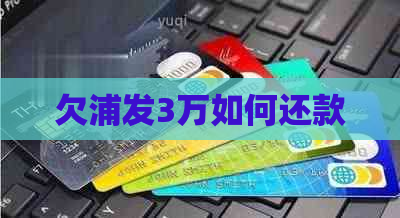 欠浦发3万如何还款