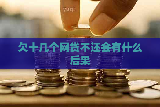 欠十几个网贷不还会有什么后果