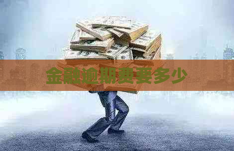 金融逾期费要多少