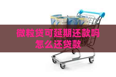 微粒贷可延期还款吗怎么还贷款