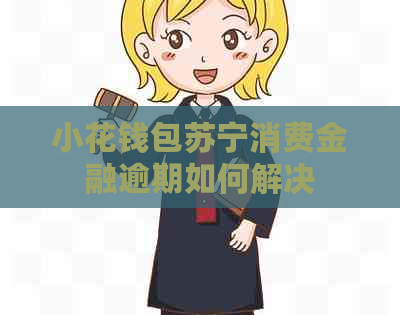 小花钱包苏宁消费金融逾期如何解决
