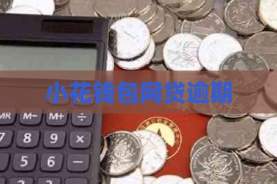小花钱包网贷逾期