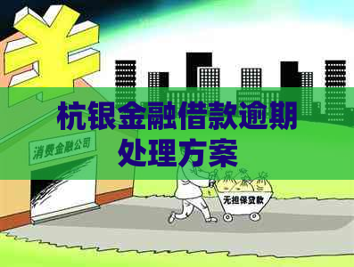 杭银金融借款逾期处理方案