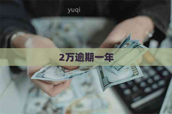 2万逾期一年