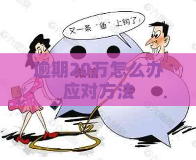逾期20万怎么办应对方法