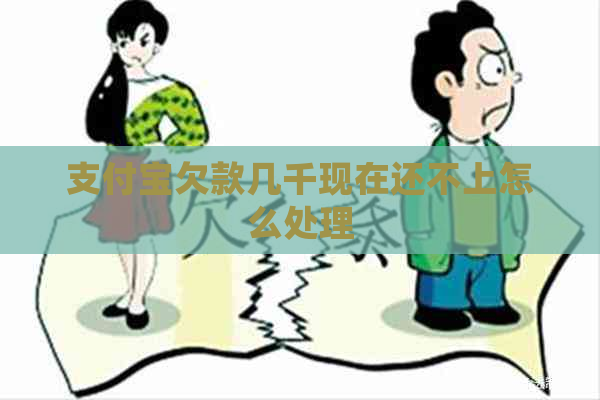 支付宝欠款几千现在还不上怎么处理