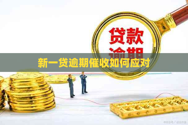 新一贷逾期如何应对
