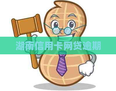 湖南信用卡网贷逾期