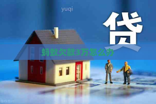 蚂蚁欠款3万怎么办