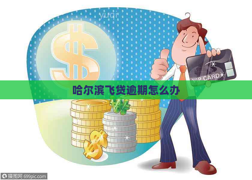 哈尔滨飞贷逾期怎么办