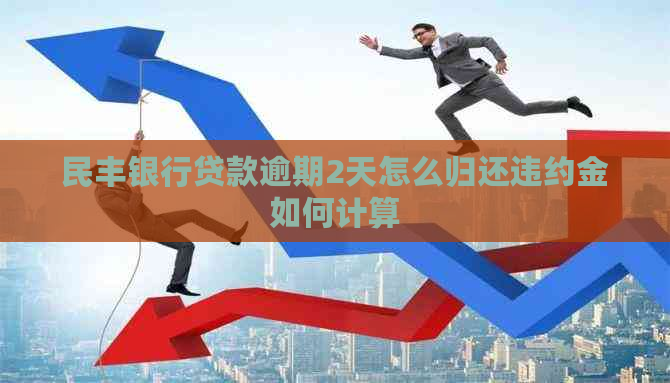 民丰银行贷款逾期2天怎么归还违约金如何计算
