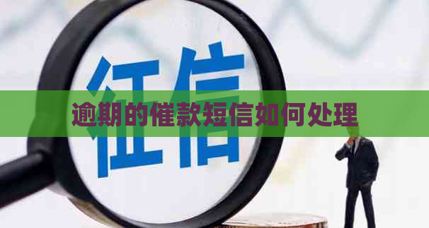 逾期的催款短信如何处理